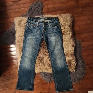American Eagle Low Rise/Boot Cut Jeans